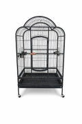 GABBIA BC21
